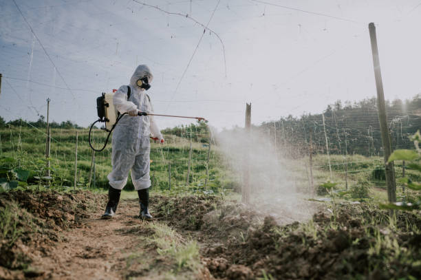 Best Best Pest Control Companies  in West Simsbury, CT