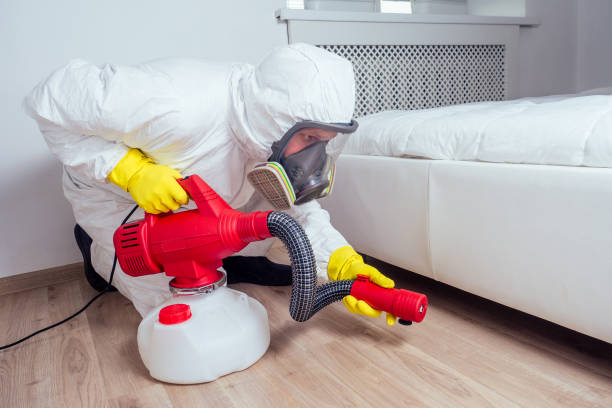 Flea Control Services in West Simsbury, CT