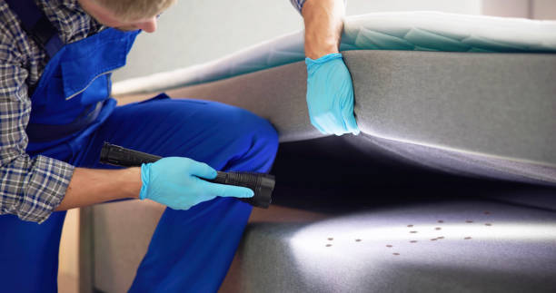 Best Flea Control Services  in West Simsbury, CT