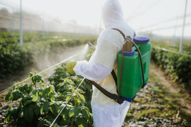 Best Best Pest Control Companies  in West Simsbury, CT